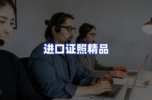 进口证件页面制证